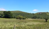 Trail Walking Orcines - Ceyssat,Puy de Dôme  - Photo 6