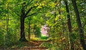 Tour Wandern Onhaye - De Miavoye à Maurenne par le vallon de Féron - Photo 17