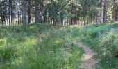 Tour Wandern Plancher-les-Mines - 130722 - La planche des belles - au pieds du Ballons d’Alsaces - Photo 5