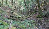 Trail Walking Bagni di Lucca - Boucle au départ de Casoli - Photo 2