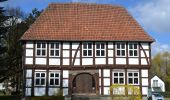 Tour Zu Fuß Detmold - Rundwanderweg [Hangstein] - Photo 6