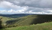 Excursión Senderismo Stavelot - Stavelot et les crêtes de l’Amblève - Photo 16