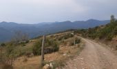Trail Walking Montferrer - Montferrer . El Castel . Puig de Vilafort -  retour par la piste  - Photo 5