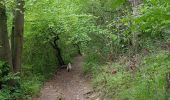 Trail Walking Giverny - Giverny Le lézard vert - Photo 17
