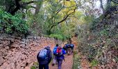 Trail Walking Sillans-la-Cascade - Trace_Sillans - Photo 5