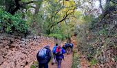 Tocht Stappen Sillans-la-Cascade - Trace_Sillans - Photo 5