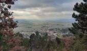 Randonnée Marche Puy-Saint-Martin - Puy St Martin La Pigne-Saudon 8,5km - Photo 2