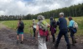 Trail Walking Rendeux - Marcouray - Photo 10