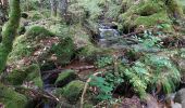 Trail Walking Cros - Le pont du diable, en p1rtant du gîte aux milles fleurs - Photo 19