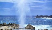 Randonnée Marche Anse-Bertrand - Guadeloupe - Porte d'Enfer à Pointe du Souffleur  - Photo 2