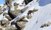 Percorso A piedi Valsavarenche - Alta Via n. 2 della Valle d'Aosta - Tappa 8 - Photo 8