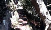 Tour Wandern Woll - le sentier des roches ... le Hohneck depuis la route des crêtes  - Photo 7