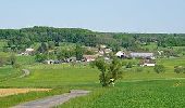 Tour Wandern Châtenay - 2022-03-11_13h33m00_chatenay_12.6_km - Photo 1