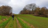 Trail Walking Incourt - Balade à Piétrebais - Incourt - Photo 7
