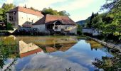 Trail Walking Bourg-de-Sirod - Syam-Les_Commères - Photo 1