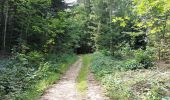 Trail Walking Ouhans - RANDONNEE A LA SOURCE DE LA LOUE - Photo 5