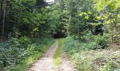 Tour Wandern Ouhans - RANDONNEE A LA SOURCE DE LA LOUE - Photo 5