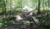 Trail Walking Ohey - bois-dohey - Photo 7