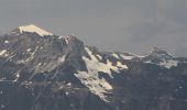 Tour Zu Fuß Valli del Pasubio - Vallortigara - Busa del Novegno - Photo 2