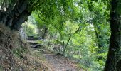 Tocht Stappen Monschau - Autour et dans Monschau - Photo 11