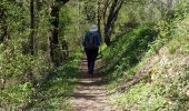 Tour Wandern Saint-Jean-d'Arvey - Remontée de la Leysse-2021-04-22 - Photo 2