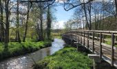Trail Walking Rochefort - rando belvaux 28-04-2023 - Photo 9