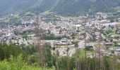 Randonnée Marche Chamonix-Mont-Blanc - Chamonix départ parking du Biolay derrière cimetière  - Photo 8