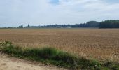 Tour Wandern Fernelmont - Noville les Bois 220823 - Photo 8