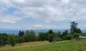 Trail Walking Évian-les-Bains - evian neuvecelle - Photo 1