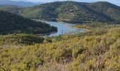 Trail Walking Bormes-les-Mimosas - Barrage du Trapan 10-01-2025 - Photo 6