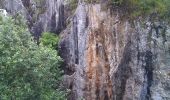 Randonnée A pied Viroinval - La Roche aux Faucons - Photo 4