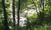 Randonnée Marche Sentheim - Par la forêt et le fil de l'eau - Photo 3