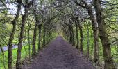Trail Walking Theux - la reid . vert buisson . charmille / variante  - Photo 6