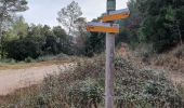 Trail Walking Vins-sur-Caramy - vins sur caramy - Photo 3