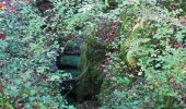 Trail Walking Lacave - Lacave - Igue de Saint-Sol - Photo 2
