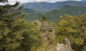 Tour Wandern Murbach - Murbach - Grand Ballon - Lac du Ballon - Col du Wolfsgrube - Photo 16