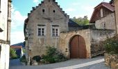 Tocht Te voet Gemeinde Spitz - Schwallenbach-Ruine Hinterhaus-Spitz - Photo 6