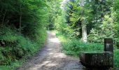 Trail On foot Val-de-Travers - Les Oeuillons-Le Soliat - Photo 6