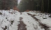 Tour Wandern Bertrix - Randonnée à Bertrix  - Photo 1