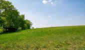 Tour Zu Fuß Schlangen - Rundwanderweg A1 [Langes Tal / Noaks Pumpe] - Photo 4