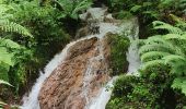 Trail Walking Soulom - Ortiac- Abbayie St Orens - Photo 12
