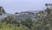 Trail Walking Ramatuelle - Col de Collebasse direction piste de la tourraque piste des Brouis - Photo 8