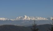 Excursión A pie okres Liptovský Mikuláš - Náučný chodník k minerálnemu prameňu - Photo 7