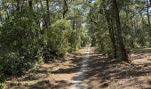 Percorso Bici ibrida Vendays-Montalivet - Montalivet - Hourtin plage - Hourtin lac - Vendays - Photo 5