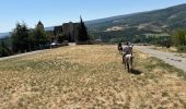 Trail Horseback riding Revest-du-Bion - Provence 2025 J5 - Photo 3