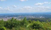 Tour Elektrofahrrad Schert - VTT - Essert - Salbert - Vétrigne - Miotte - Citadelle Belfort - Essert - Photo 2