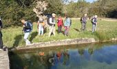 Trail Walking Cotignac - sommet du Bessillon - Photo 11