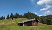 Tour Wandern Arâches-la-Frasse - Les Tronchets - Photo 5