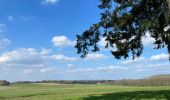 Tocht Stappen Bevekom - Meerdael et molendaal à partir de Hamme Mil - Photo 18