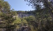 Excursión Marcha nórdica Saint-Étienne-de-Gourgas - Parlatge Maison forestière Larcho - Photo 2